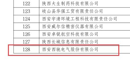 喜訊|西馳電氣榮獲國(guó)家級(jí)專精特新“小巨人”企業(yè)(圖2) 喜訊|西馳電氣榮獲國(guó)家級(jí)專精特新“小巨人”企業(yè)(圖2)